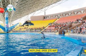 show ca heo da nang 1