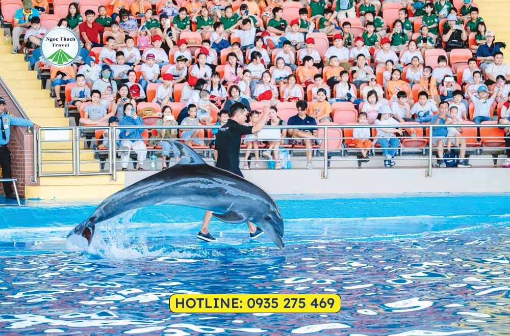 Đặt vé cá heo Đà Nẵng Dolphinarium giá ưu đãi tại NGỌC THẠCH TRAVEL. Thưởng thức show cá heo, hải cẩu đặc sắc, phù hợp cho gia đình và trẻ em. Hỗ trợ đặt vé nhanh chóng, tiện lợi.