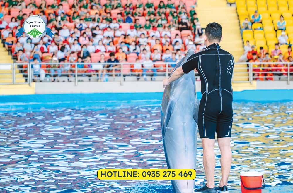 Đặt vé cá heo Đà Nẵng Dolphinarium giá ưu đãi tại NGỌC THẠCH TRAVEL. Thưởng thức show cá heo, hải cẩu đặc sắc, phù hợp cho gia đình và trẻ em. Hỗ trợ đặt vé nhanh chóng, tiện lợi.