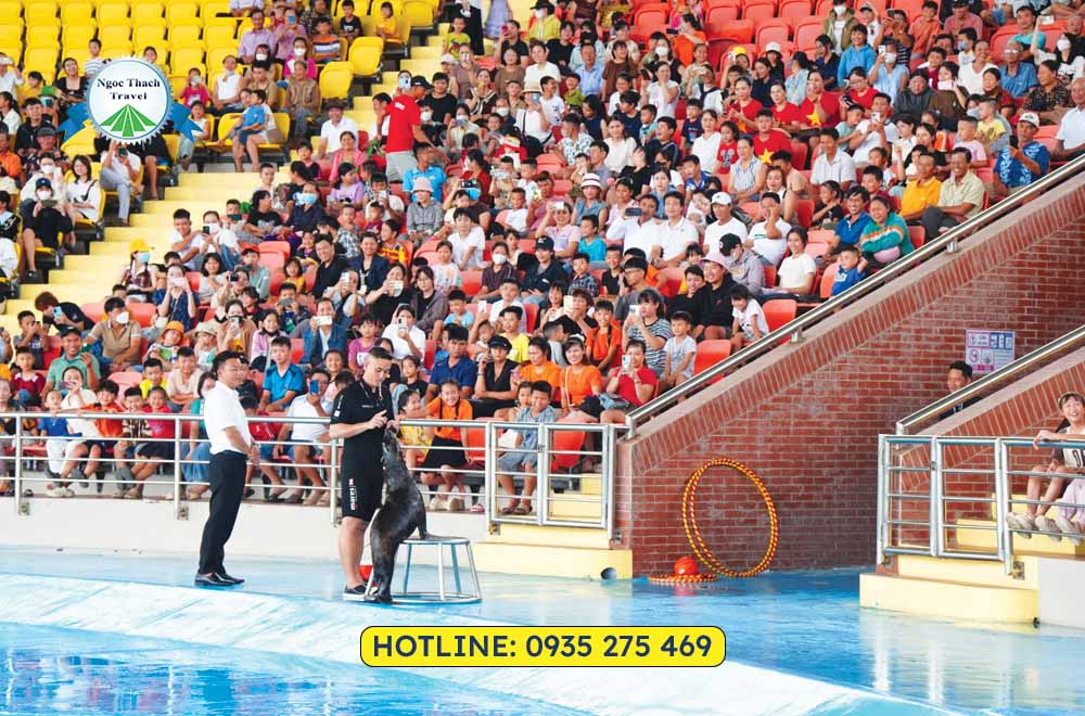 Đặt vé cá heo Đà Nẵng Dolphinarium giá ưu đãi tại NGỌC THẠCH TRAVEL. Thưởng thức show cá heo, hải cẩu đặc sắc, phù hợp cho gia đình và trẻ em. Hỗ trợ đặt vé nhanh chóng, tiện lợi.