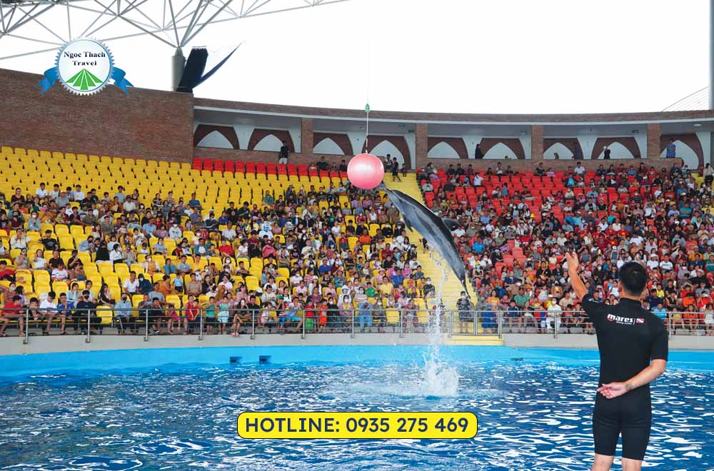 Đặt vé cá heo Đà Nẵng Dolphinarium giá ưu đãi tại NGỌC THẠCH TRAVEL. Thưởng thức show cá heo, hải cẩu đặc sắc, phù hợp cho gia đình và trẻ em. Hỗ trợ đặt vé nhanh chóng, tiện lợi.