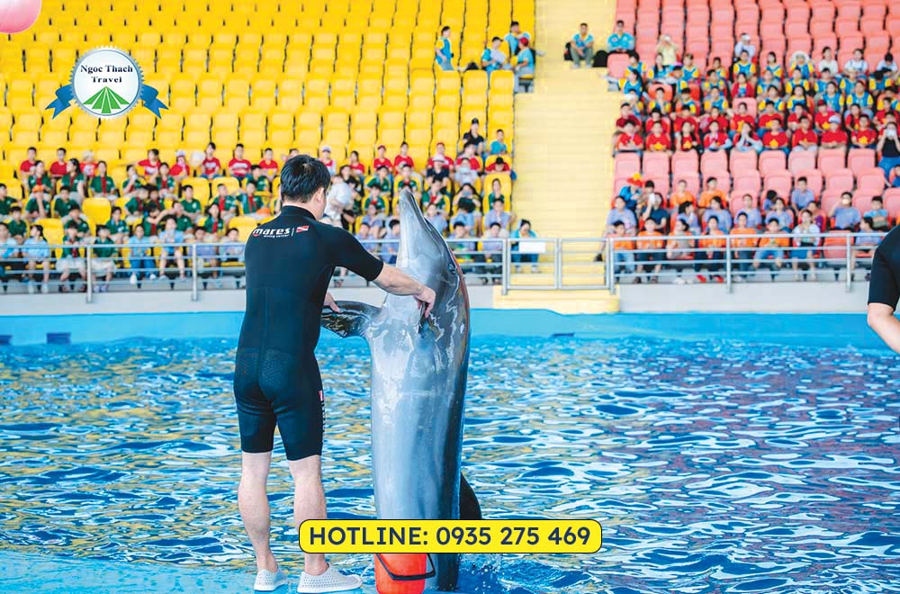 Đặt vé cá heo Đà Nẵng Dolphinarium giá ưu đãi tại NGỌC THẠCH TRAVEL. Thưởng thức show cá heo, hải cẩu đặc sắc, phù hợp cho gia đình và trẻ em. Hỗ trợ đặt vé nhanh chóng, tiện lợi.