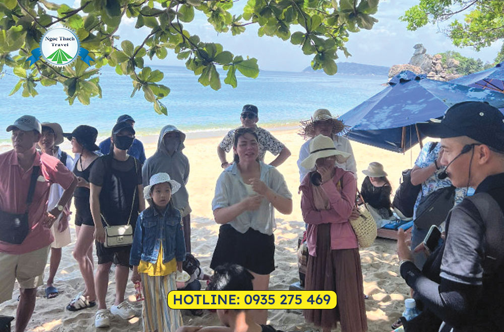 Tour Cù Lao Chàm 1 Ngày Giá Rẻ 1 tour cu lao cham 1 ngay lan ngam san ho 1