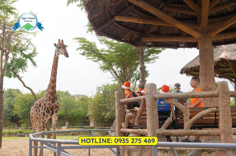 tour vinwonder nam hoi an 1 ngay 8