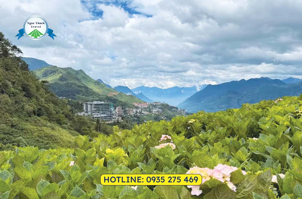 Vé Cáp Treo Sun World Fansipan Legend 2026 | NGỌC THẠCH TRAVEL